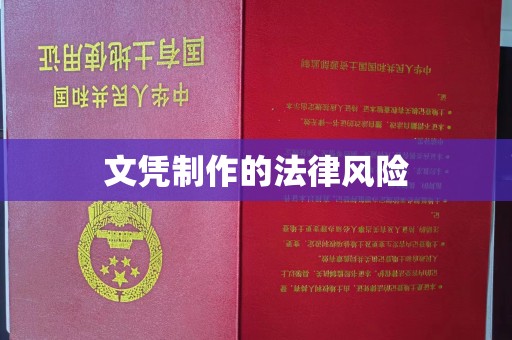 叶县文凭制作的法律风险